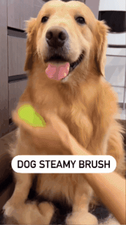gif (2).gif__PID:02bcd363-77d7-42f1-8b5e-2d72d4a3421d
