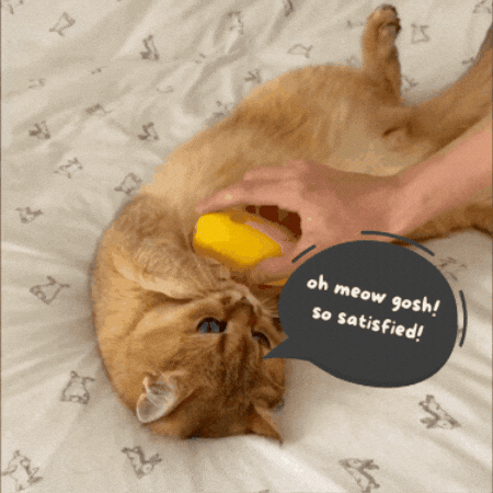 gif (5).gif__PID:c1cc5702-bcd3-4377-97d2-f18b5e2d72d4