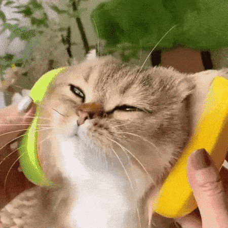gif (6).gif__PID:50c1cc57-02bc-4363-b7d7-d2f18b5e2d72