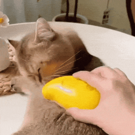 gif (7).gif__PID:eb50c1cc-5702-4cd3-a377-d7d2f18b5e2d